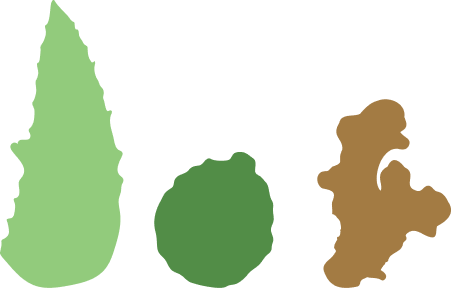 100% chanh kaffir cùng thảo mộc quý tự nhiên