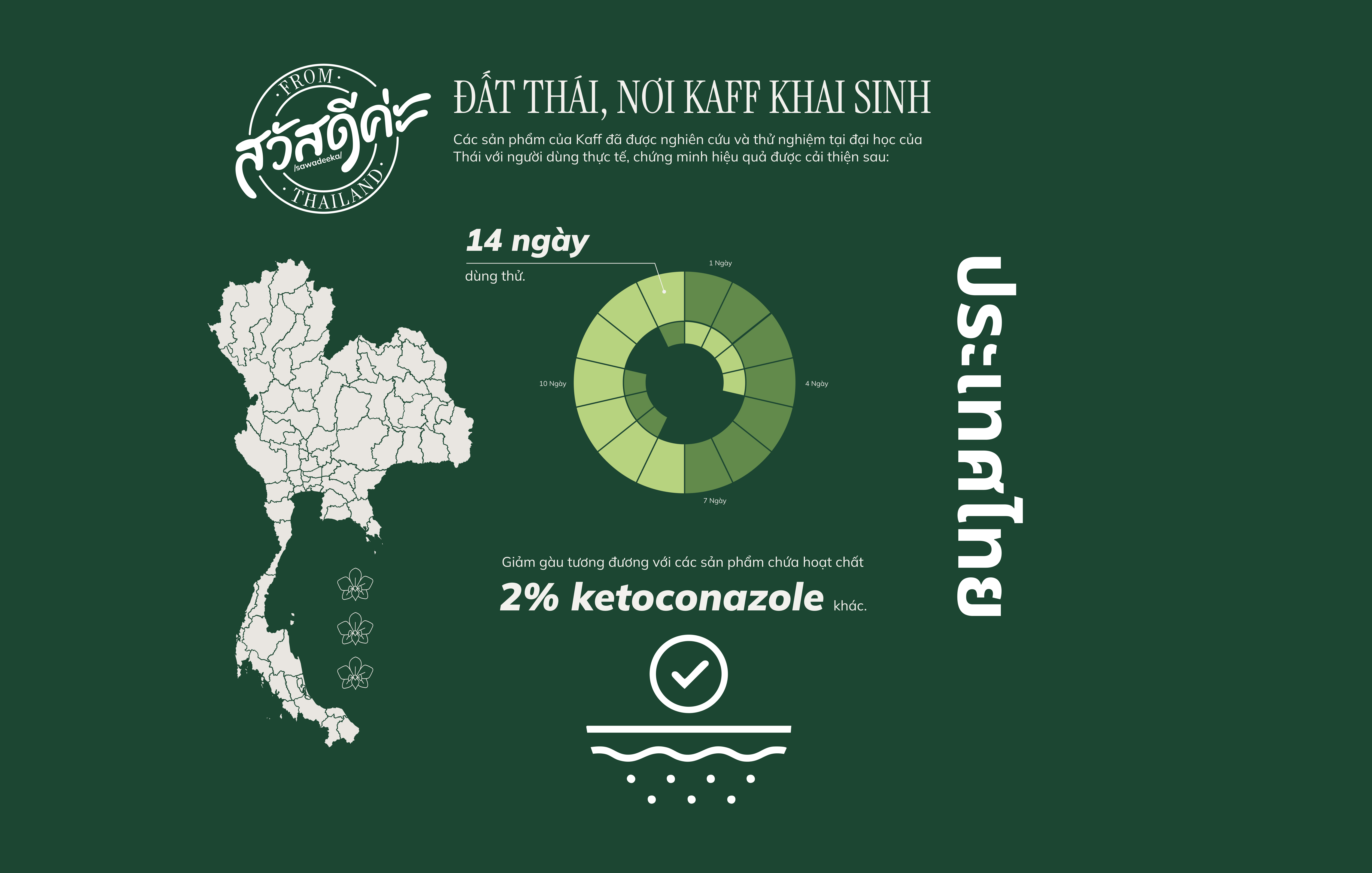 Giảm gàu tương đương với các sản phẩm chứa hoạt chất 2% ketoconazole